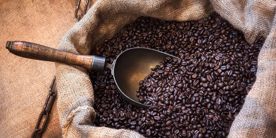 Metal scoop in a burlap sack of dark coffee beans favoured by Arabica enthusiasts