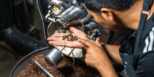 Coffee Roasting: From Bean to Cup