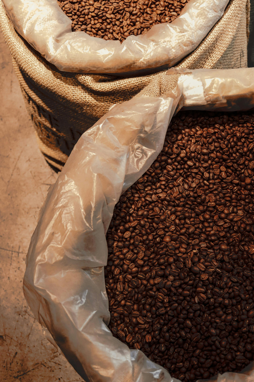 Wholesale coffee beans in open burlap sacks — Agross Cebu supplier