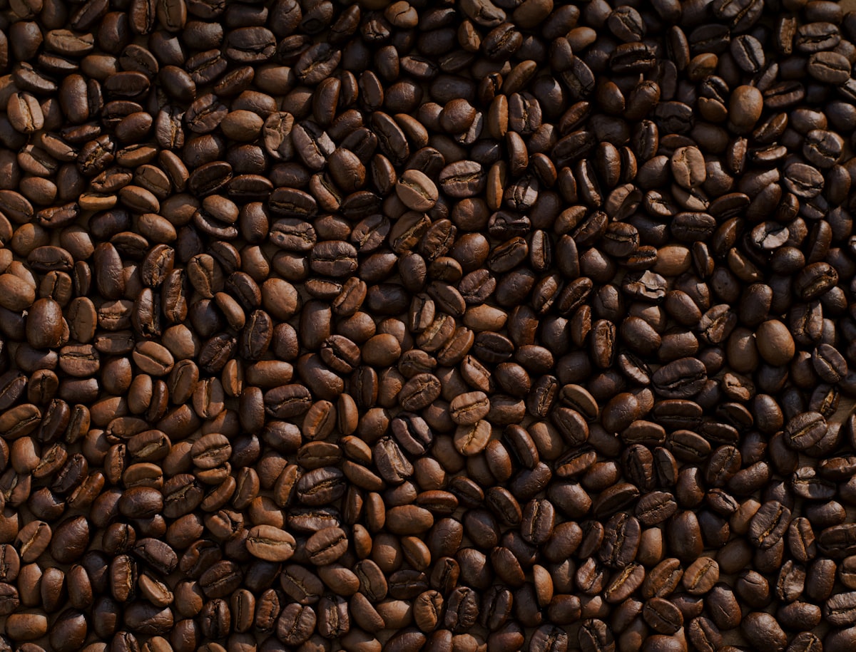 Arabica and Robusta coffee beans side by side — wholesale coffee Philippines