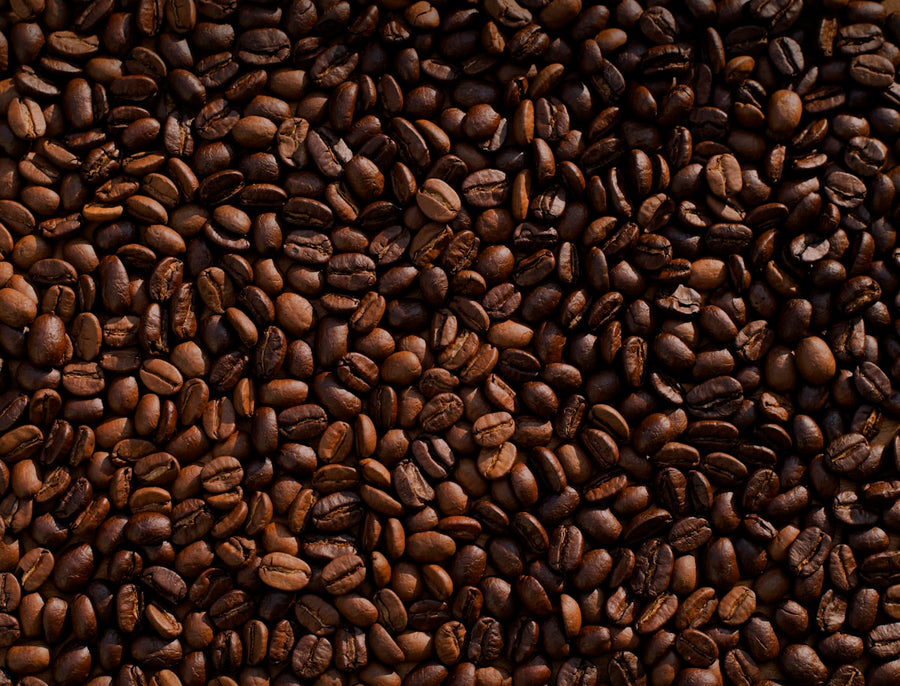 Arabica and Robusta coffee beans side by side — wholesale coffee Philippines