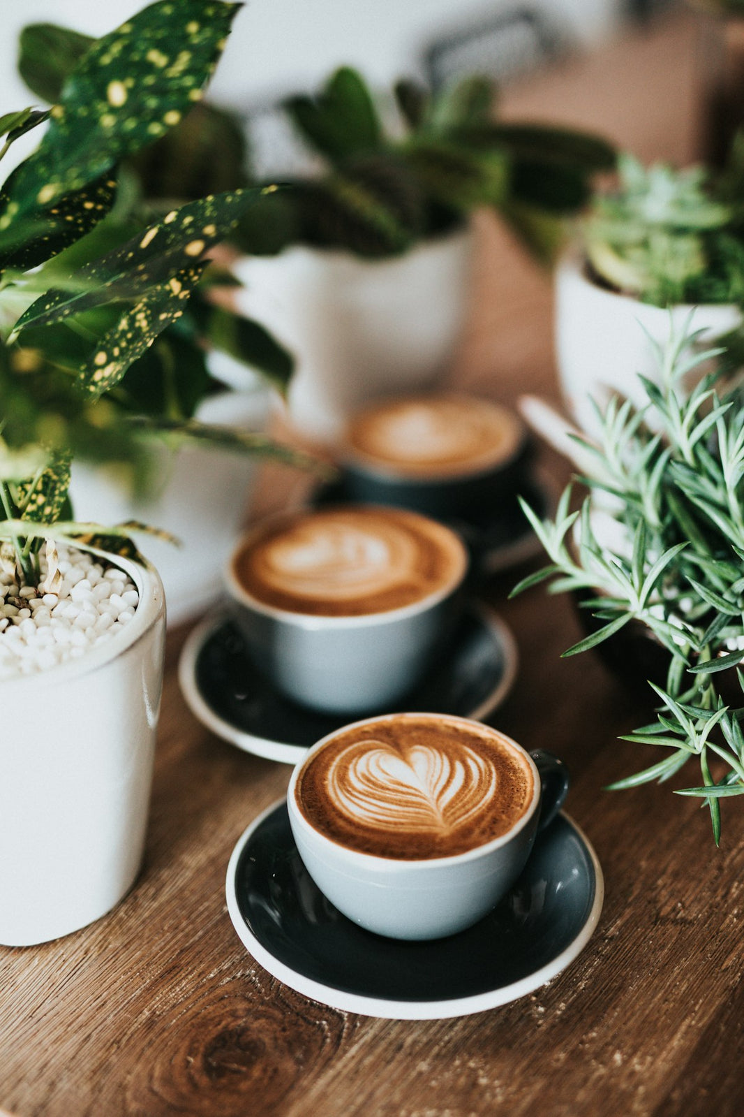 Coffee consumption guide for Philippine businesses — how much to order wholesale