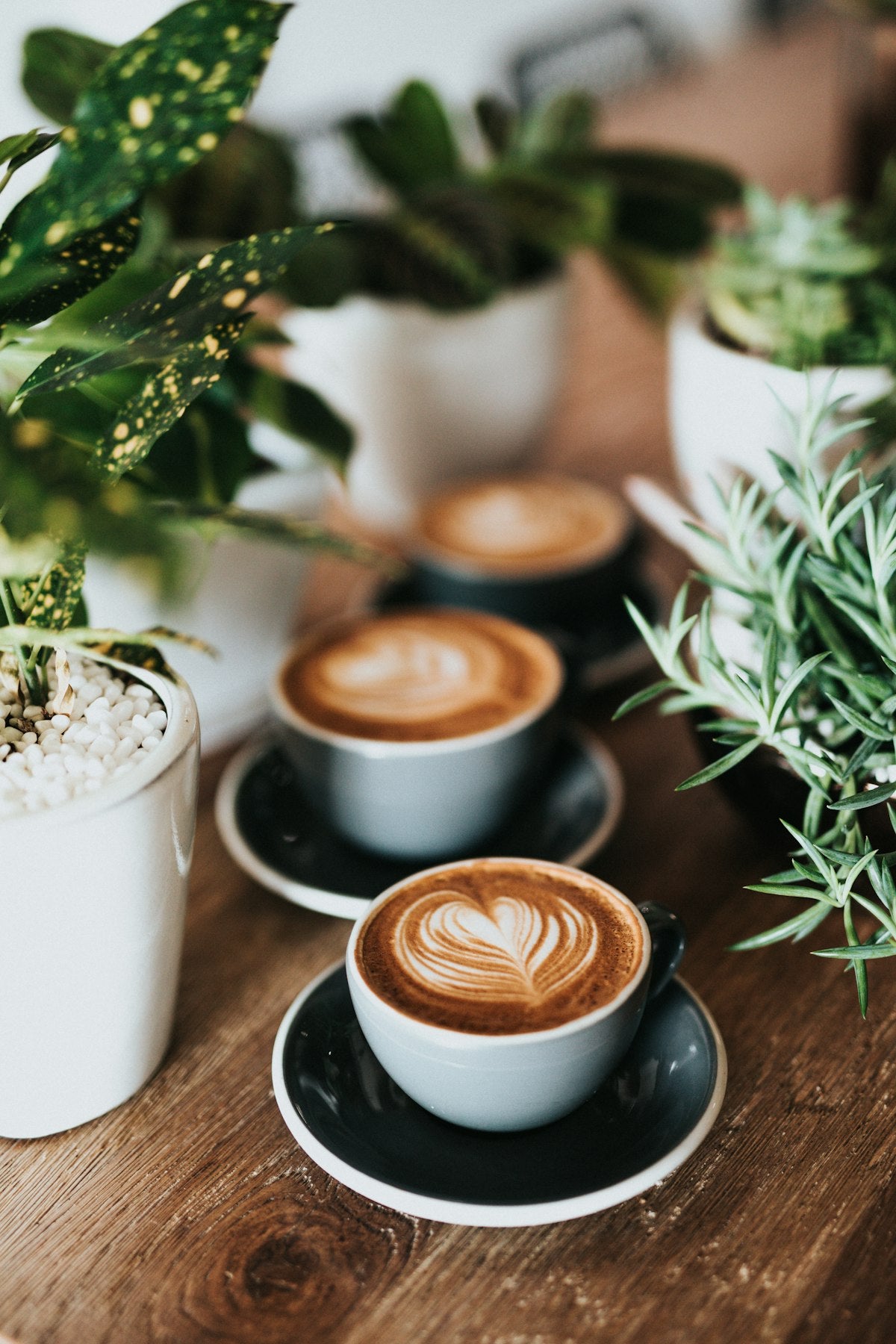 Coffee consumption guide for Philippine businesses — how much to order wholesale
